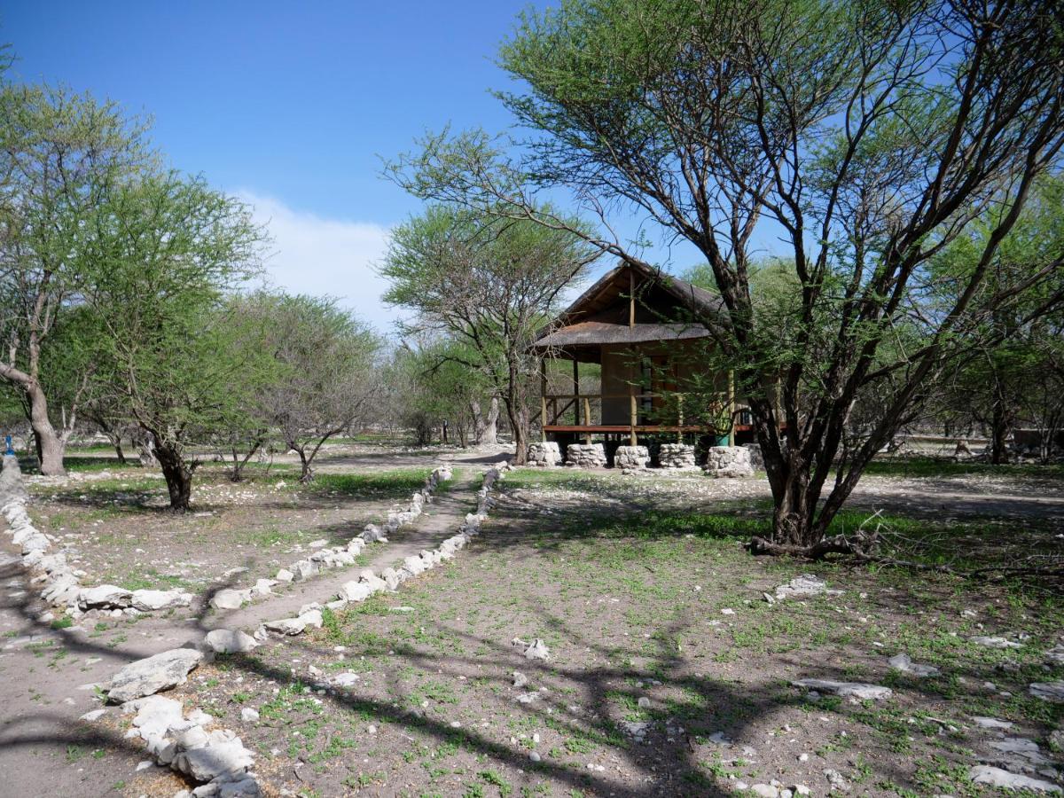 Thakadu Bush Camp Villa Ghanzi Екстериор снимка